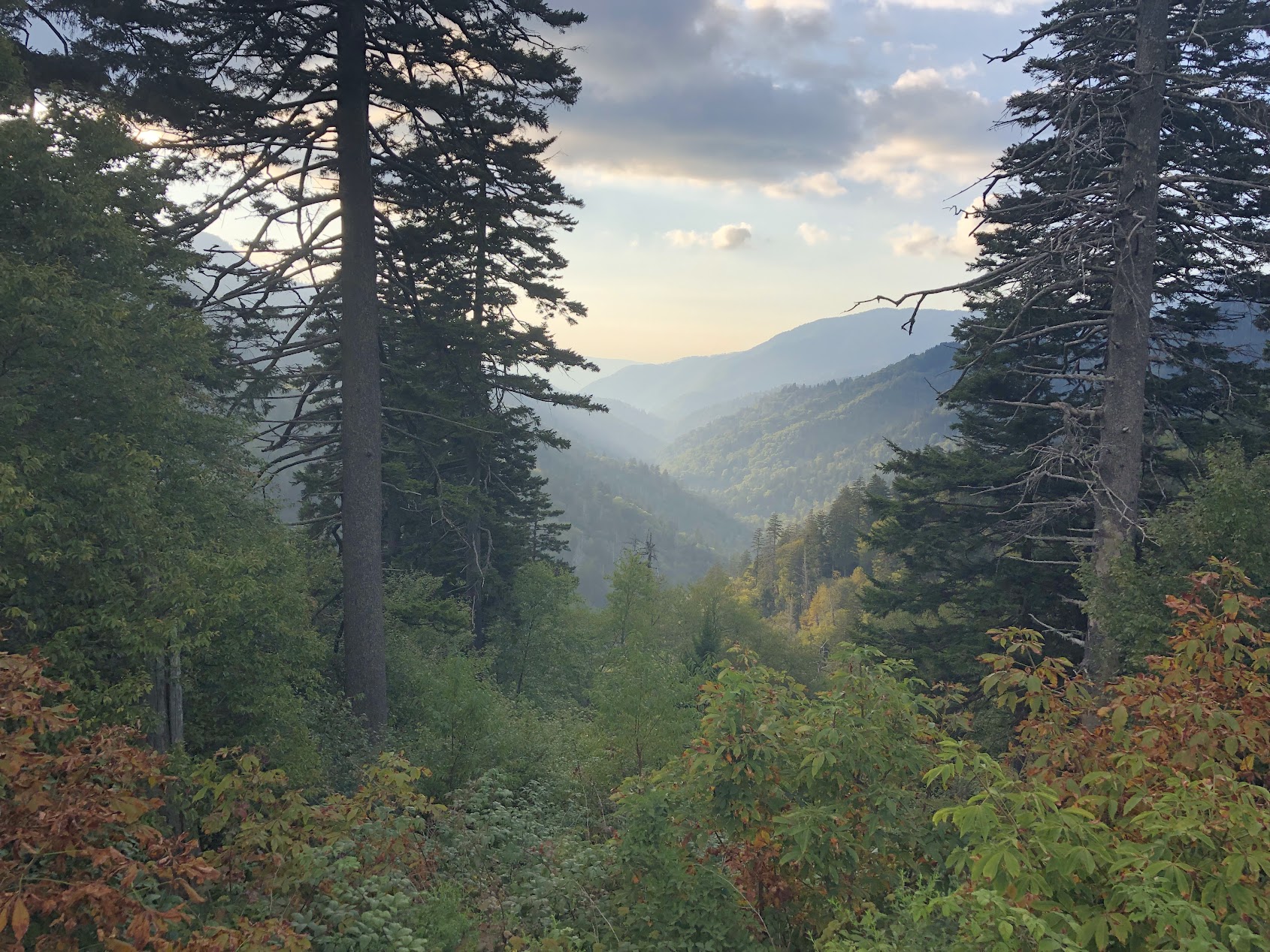 Great Smoky Mountains misty ridgelines
